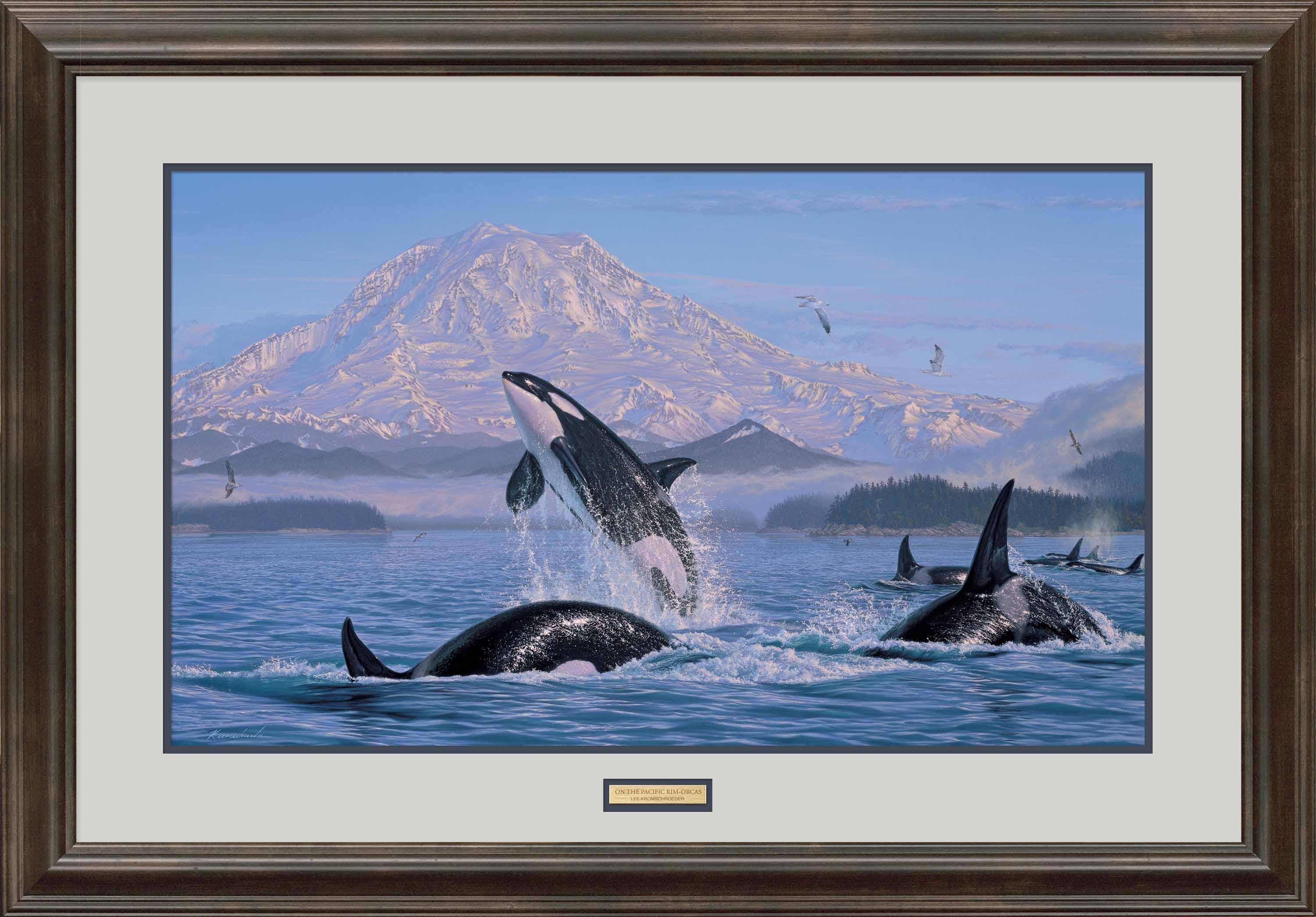On the Pacific Rim—Orcas - Limited Edition Paper Limited Edition