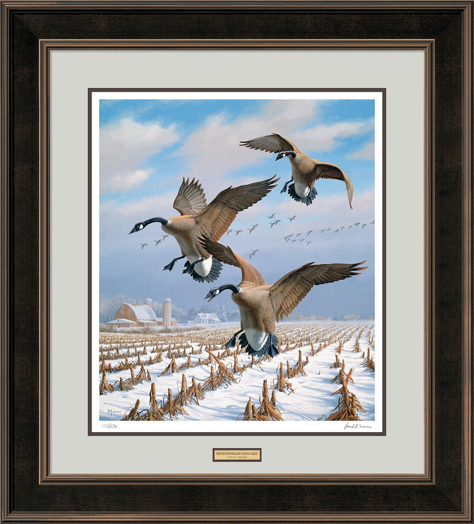 Winter Wonder—Canada Geese - Limited Edition Paper Limited Edition
