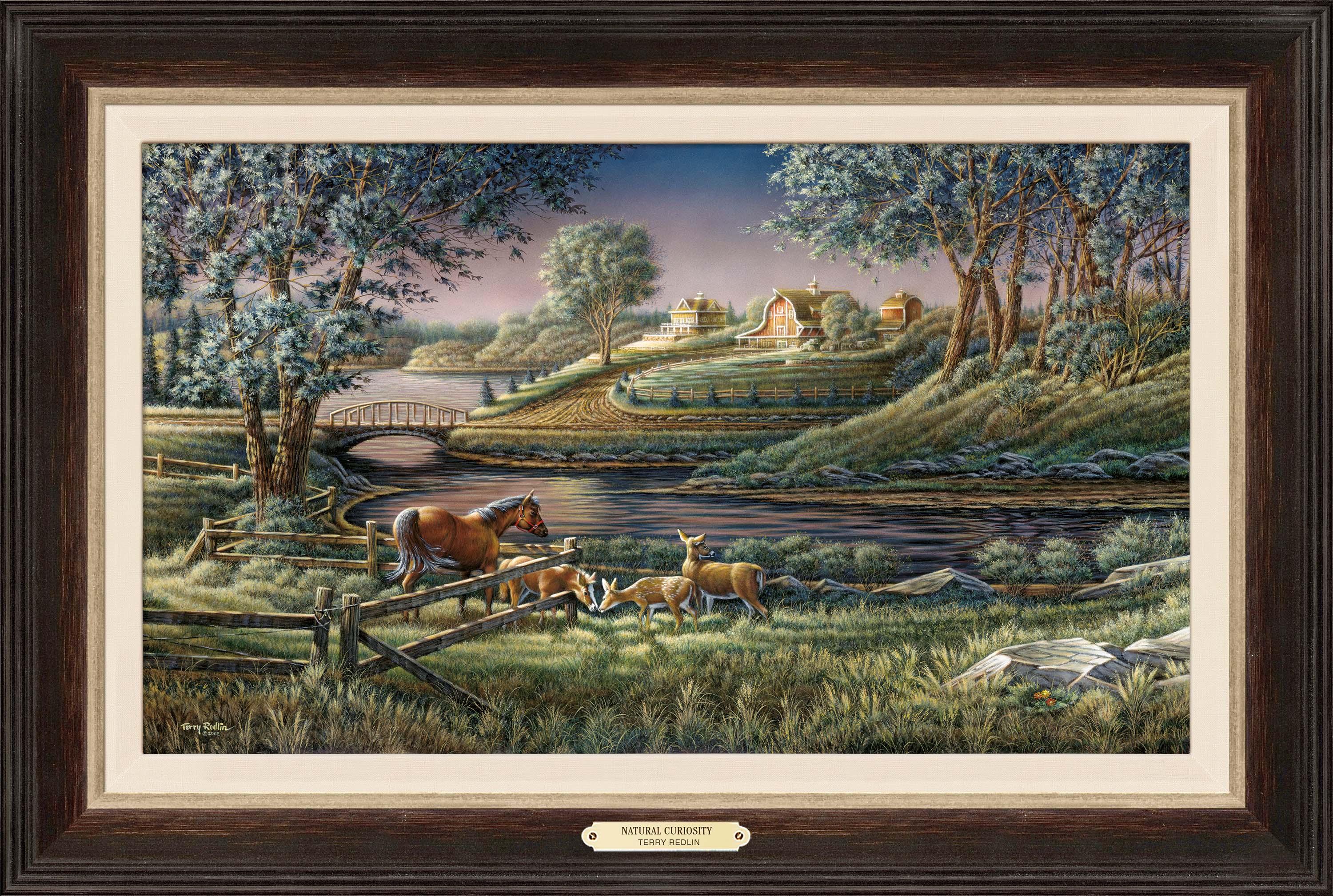 Natural Curiosity - Encore Canvas Encore Canvas from Wild Wings