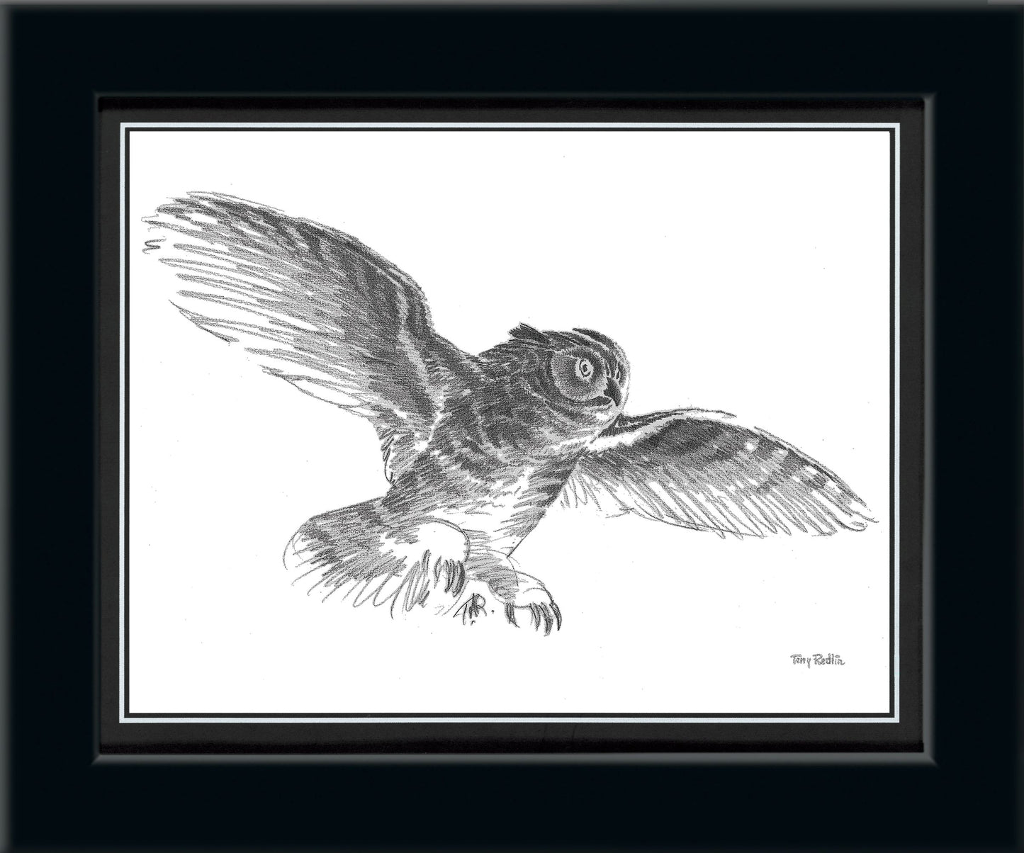 Owl Study Pencil Sketch - Companion Print