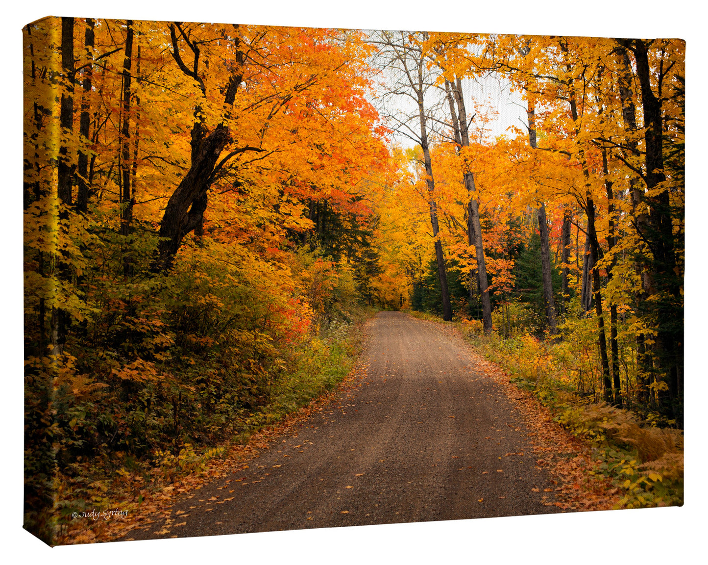 Nature Collection - Gallery Wrapped Canvas