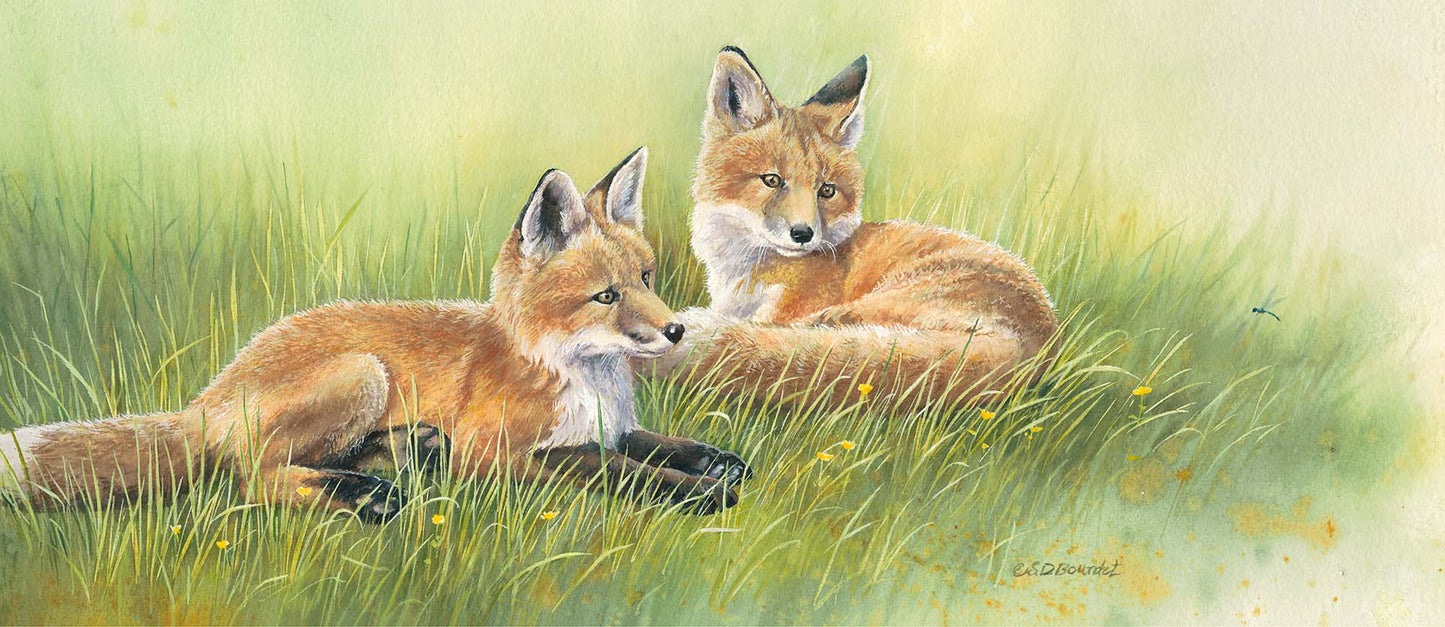 *Original* Time Out-Fox Kits by Susan Bourdet 9" x 8"