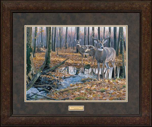 after-the-rain-whitetail-deer-jim-kasper-framed-print-ELT1208765D_21758fbd-f3e1-4b8d-82f3-16c729a0d5b0.jpg