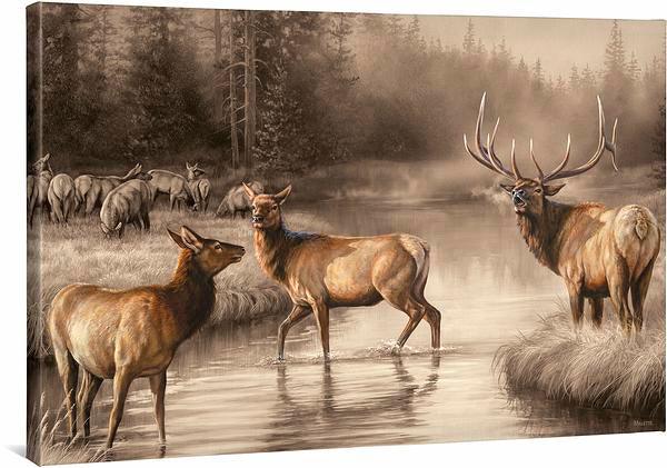 autumn-mist-elks-wc7millette-F593010866CGW_78a8e340-c870-40aa-939d-e9a93e6379b0.jpg