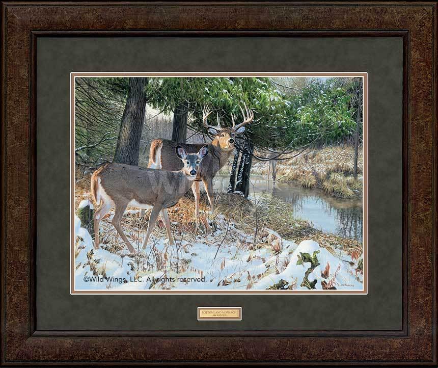 bottomland-monarch-whitetail-deer-by-jim-kasper-EPR4231465Dd_1a4a8aa7-0eb8-450d-bab3-db127a755108.jpg