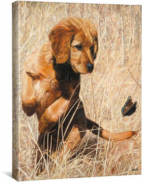 butterfly-dance-golden-retriever-gallery-wrapped-canvas-john-aldrich-F015095062CGW_e4e14f0c-faef-4b06-a6aa-a4107451267f.jpg