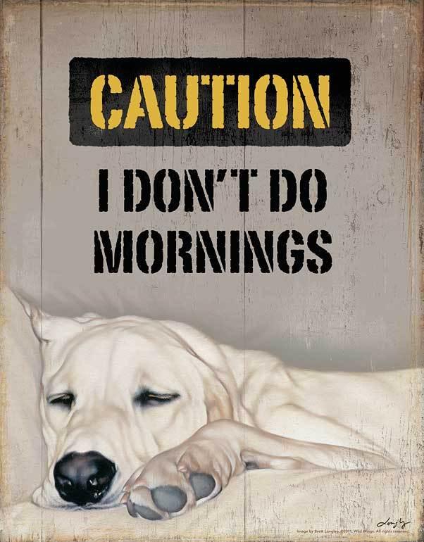 I Don't Do Mornings - 11.875" x 16.75" Tin Sign