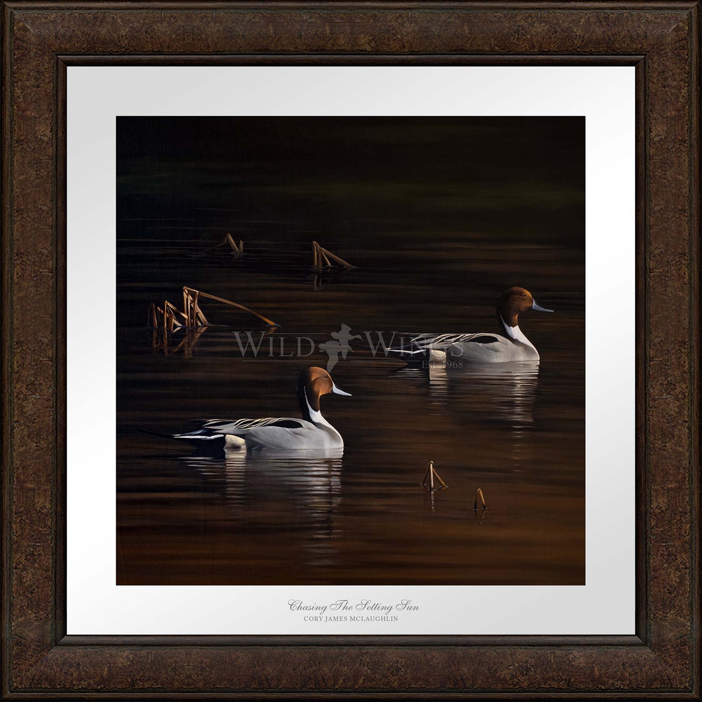 Chasing the Setting Sun - Limited Edition Paper