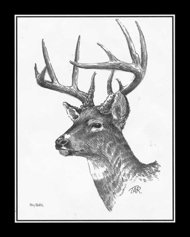 deer-pencil-sketch-by-terry-redlin-1701149065d_3954d4fa-4c1f-4ac6-bffb-ab484f917544.jpg