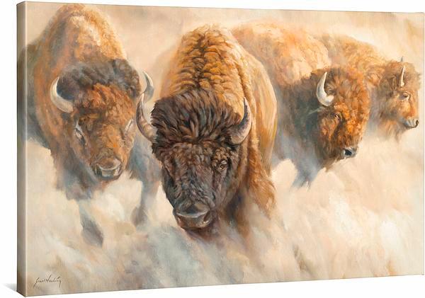 dust-of-time-bisonwc7hacking-F362295469CGW_8d415721-b292-4d91-8409-e2f79bd8d9e6.jpg