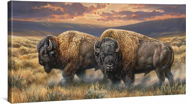 dusty-plains-bisonwc6millette-F593130569CGW_19ed6533-dff9-4f20-9a75-dec2c3487f91.jpg