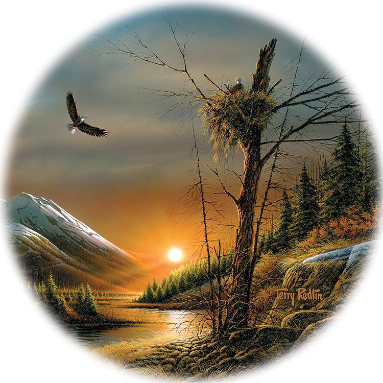 Flying Free—Eagle - Coasters