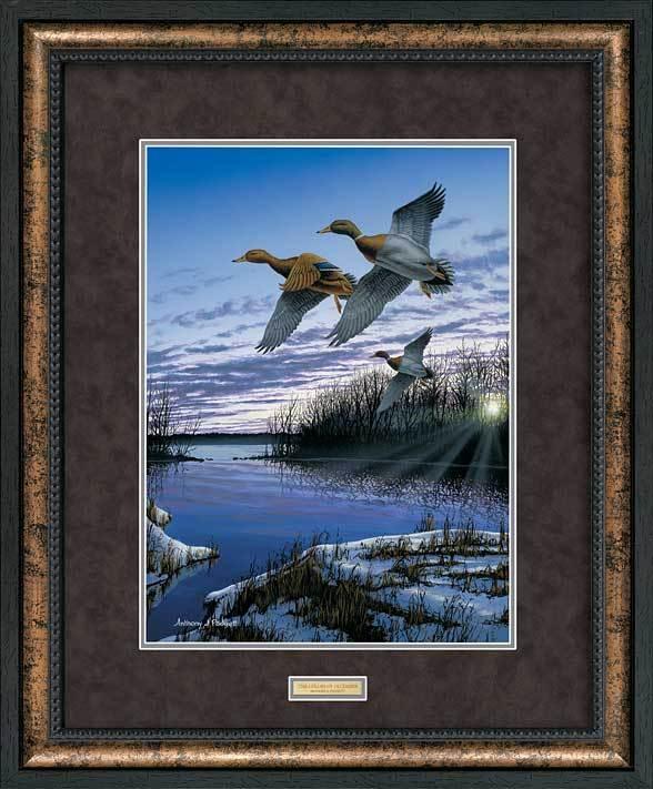 framed-ducks-art-colors-of-december-mallards-by-anthony-padgett-EPR6241801_Dd_d88e7240-33f5-4756-879a-def1c5207fc1.jpg