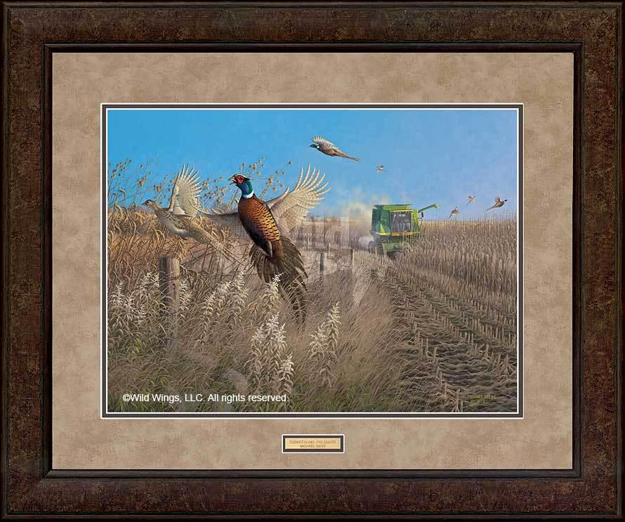 framed-pheasant-art-flying-colors-by-michael-sieve-ELT2408919_Dd_31bb7a87-d8af-426b-88c1-eb936e6b3e5a.jpg