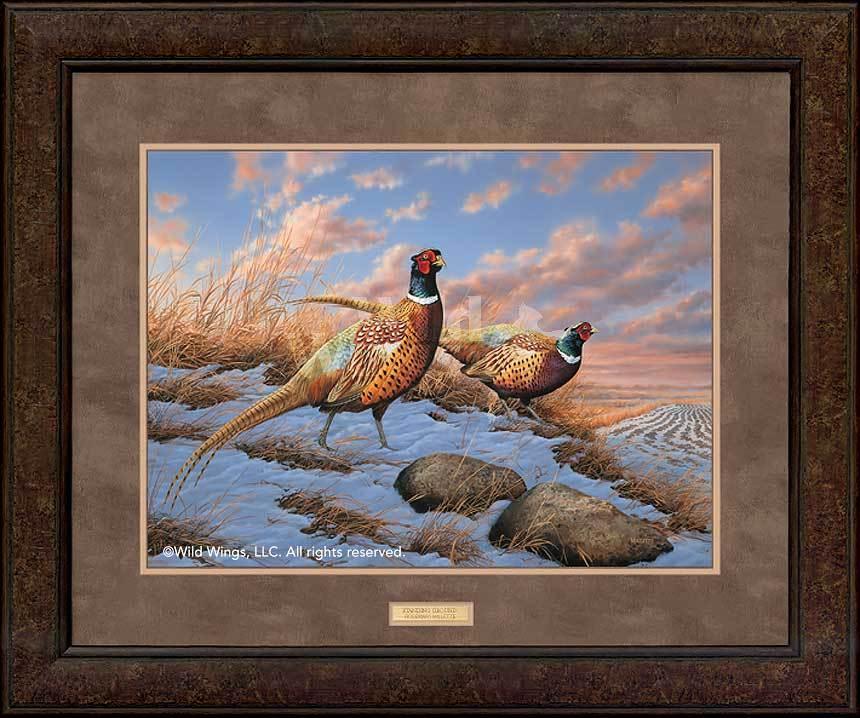 Standing Ground - Pheasants - GNA Premium Print GNA Premium Print