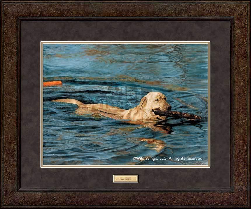 framed-yellow-lab-art-print-by-john-aldrich-EPR0151856Dd_e0ec6f51-1420-4a94-aca7-56a97900f17f.jpg