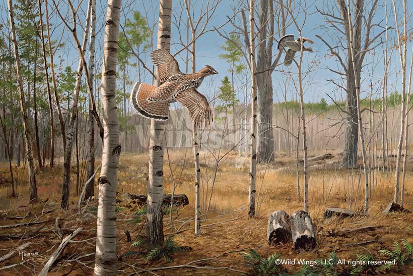 grouse-meadow-art-by-david-maass-1540237017d_64c6ec2f-b75c-4360-ae7d-a47a49be7043.jpg