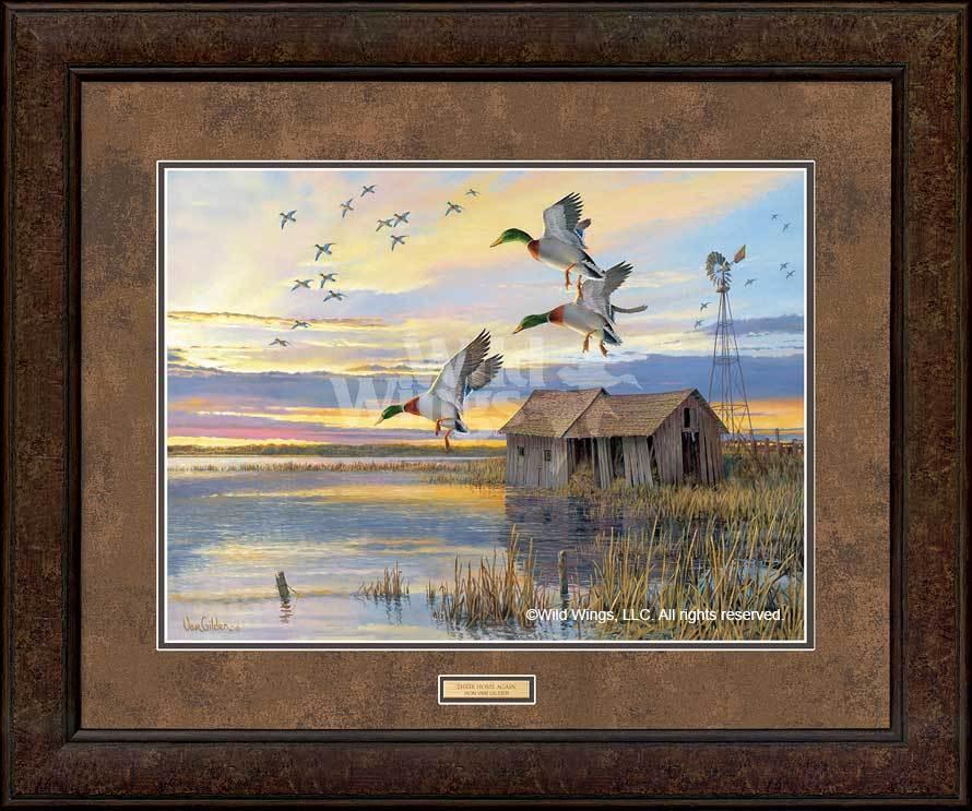mallard-ducks-framed-art-print-their-home-again-by-ron-van-gilder-EPR9138901_dd_7a30516f-c443-4cce-b48a-74aacb84640e.jpg