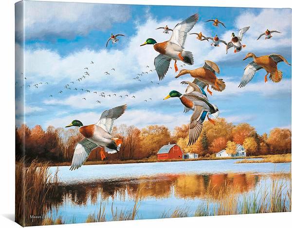 opening-day-mallards-gallery-wrapped-canvas-david-a-maass-F540574601CGW.jpg