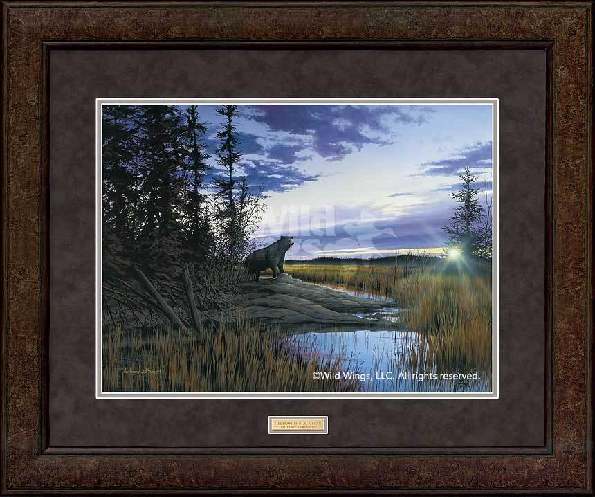 premium-framed-black-bear-art-print-the-search-by-anthony-padgett-EPR6246775Dd_b6fb1adb-b26e-4f60-84d9-22d15ffcc8fe.jpg