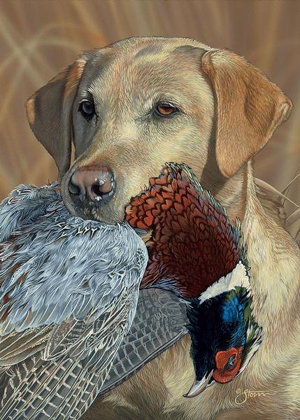 prize-possession-yellow-lab-wrapped-canvas-1830667556_4f37239f-01ce-415f-a0f4-78a9fe92ac45.jpg