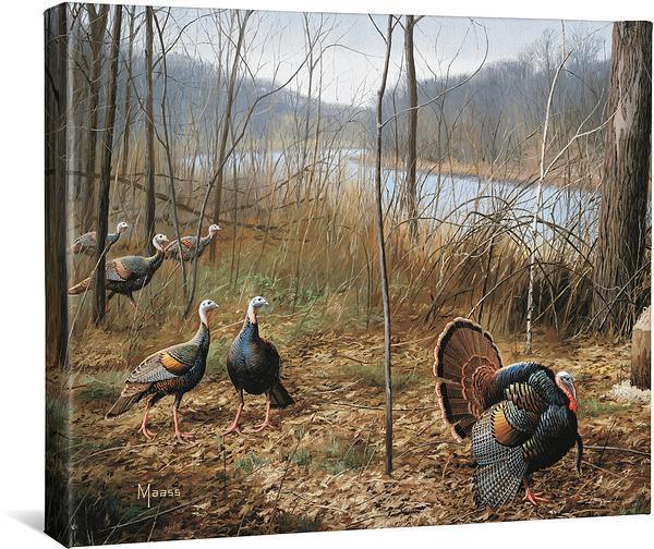 River's Edge Courtship - Turkeys - 16