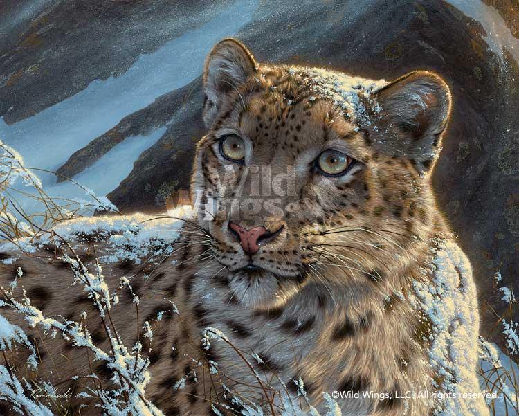 snow-leopard-canvas-art-by-lee-kromschroeder-1476704873d_c1760092-9c86-47ee-a8f3-31424b4f77be.jpg