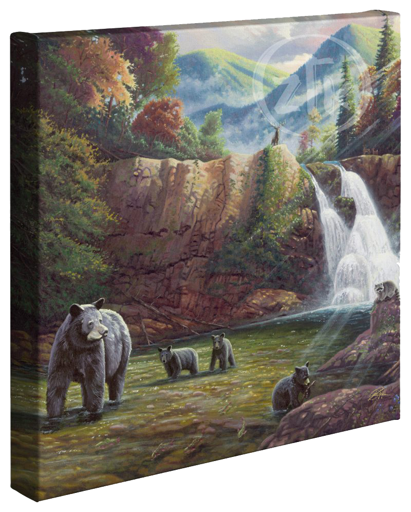 Spirit of the Smokies - 14" x 14" Gallery Wrapped Canvas