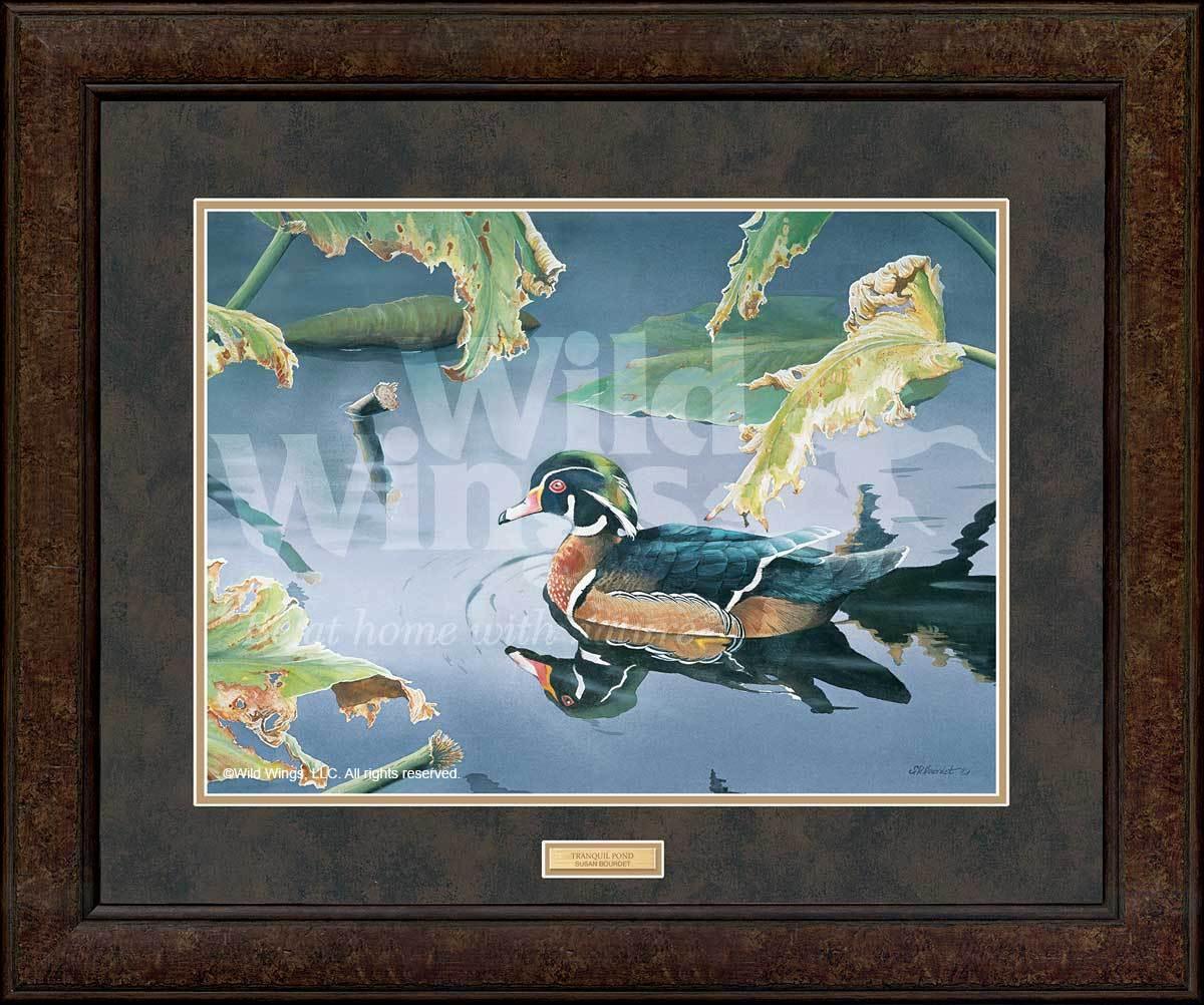 Tranquil Pond - Wood Duck - GNA Premium Print GNA Premium Print