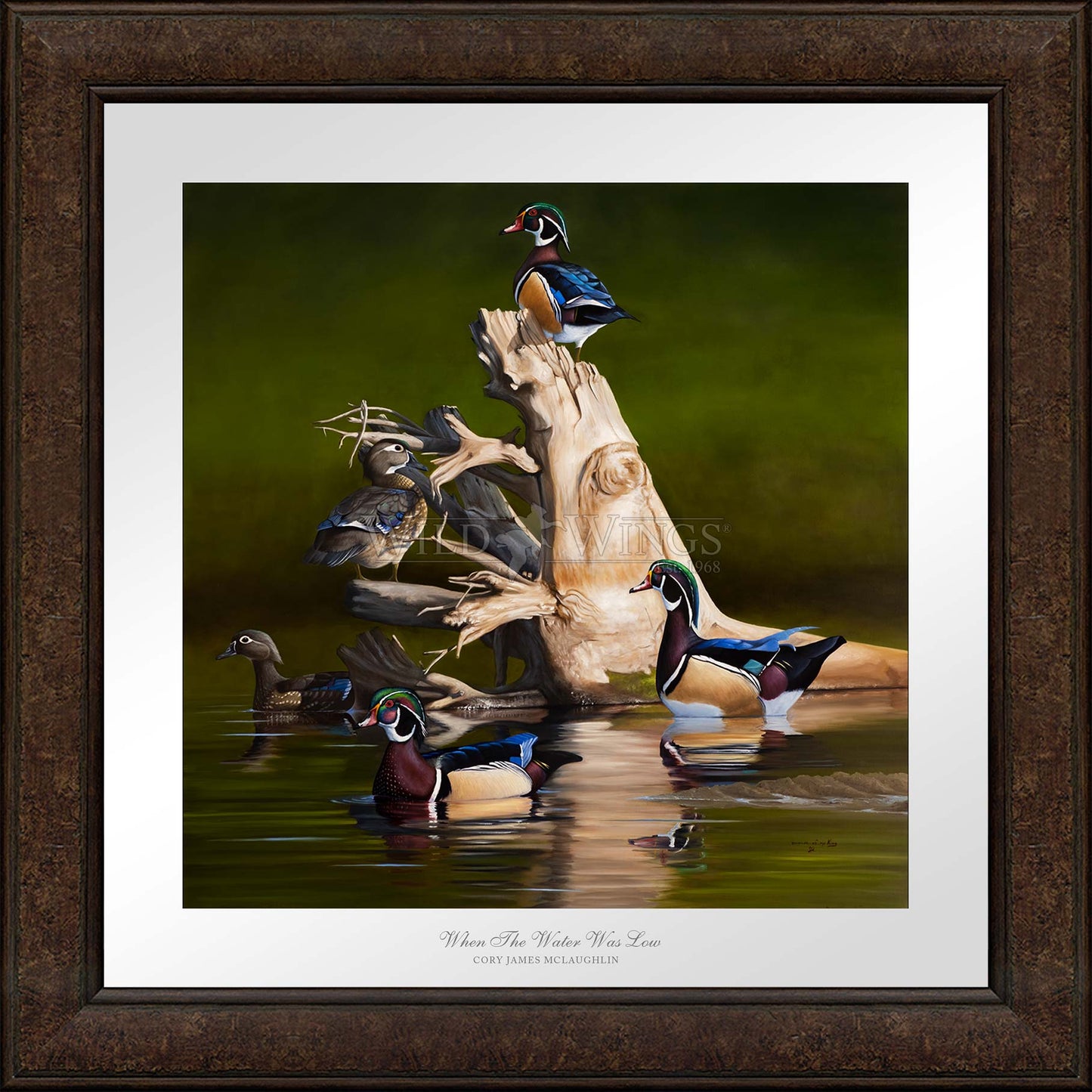 When the Water was Low - Limited Edition Paper