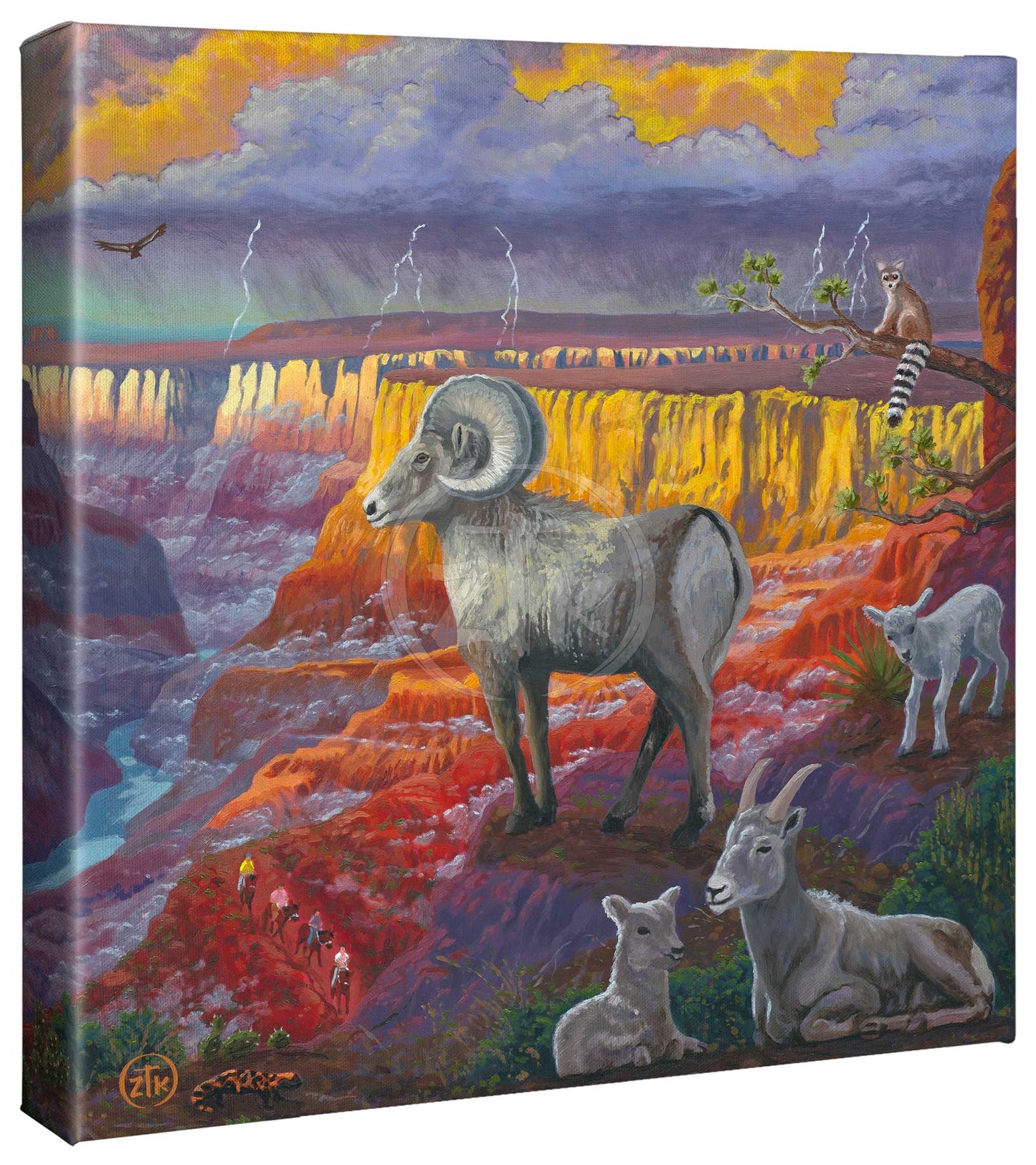 Spirit of the Grand Canyon - 14" x 14" Gallery Wrapped Canvas