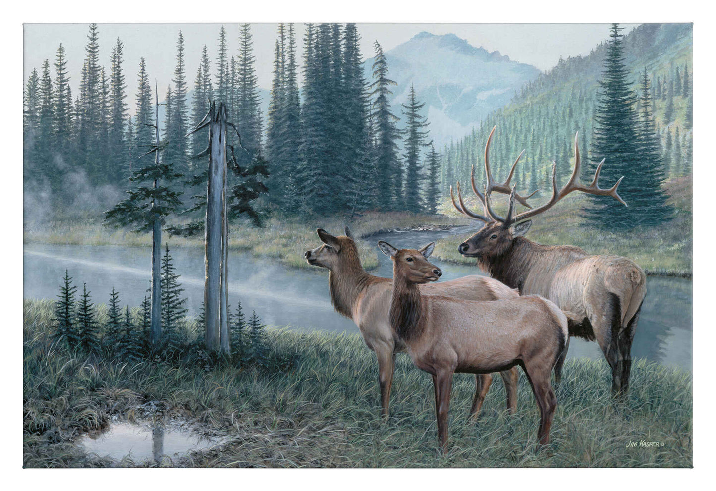 Coming Together - Elk - 24" x 36" Gallery Wrapped Canvas
