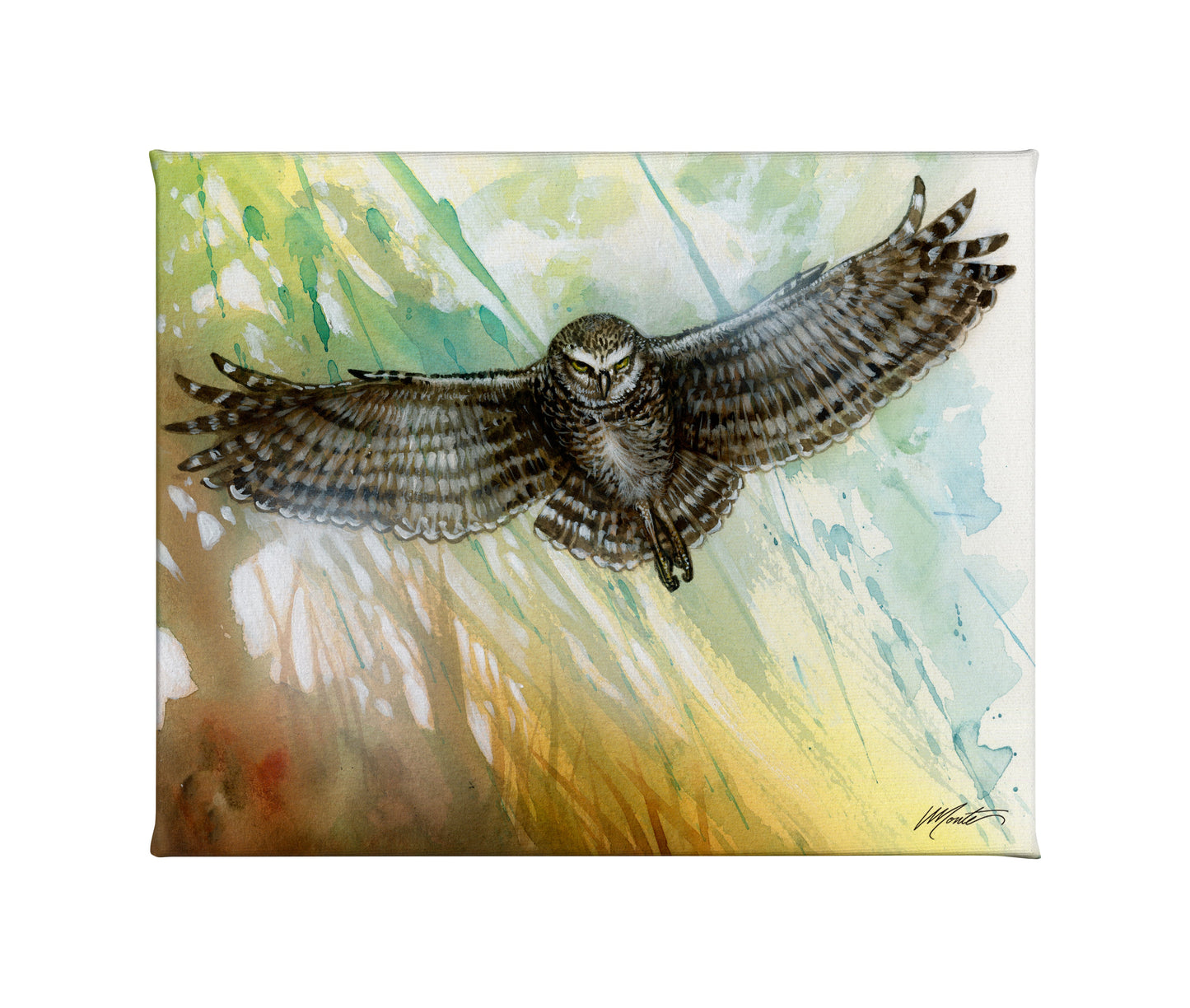 154429_Dawn Patrol_20.5x6_F_CGW.jpg