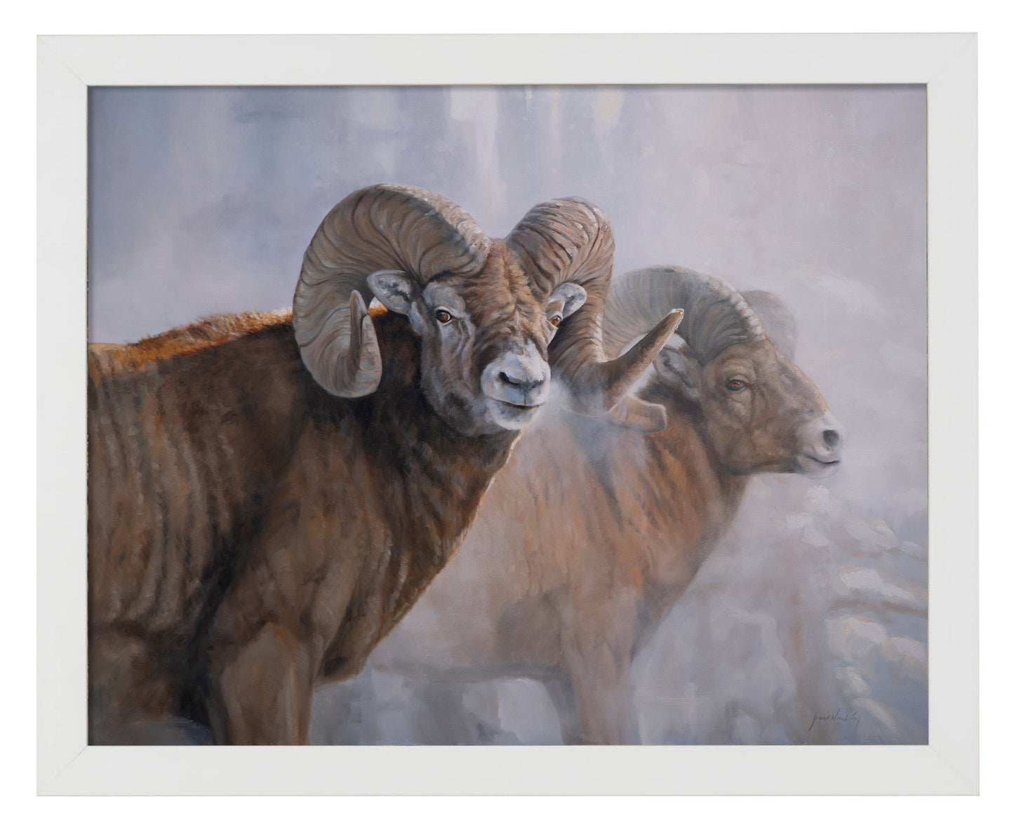 154505_Bighorns in the Mist_11x14_White_FRA.jpg