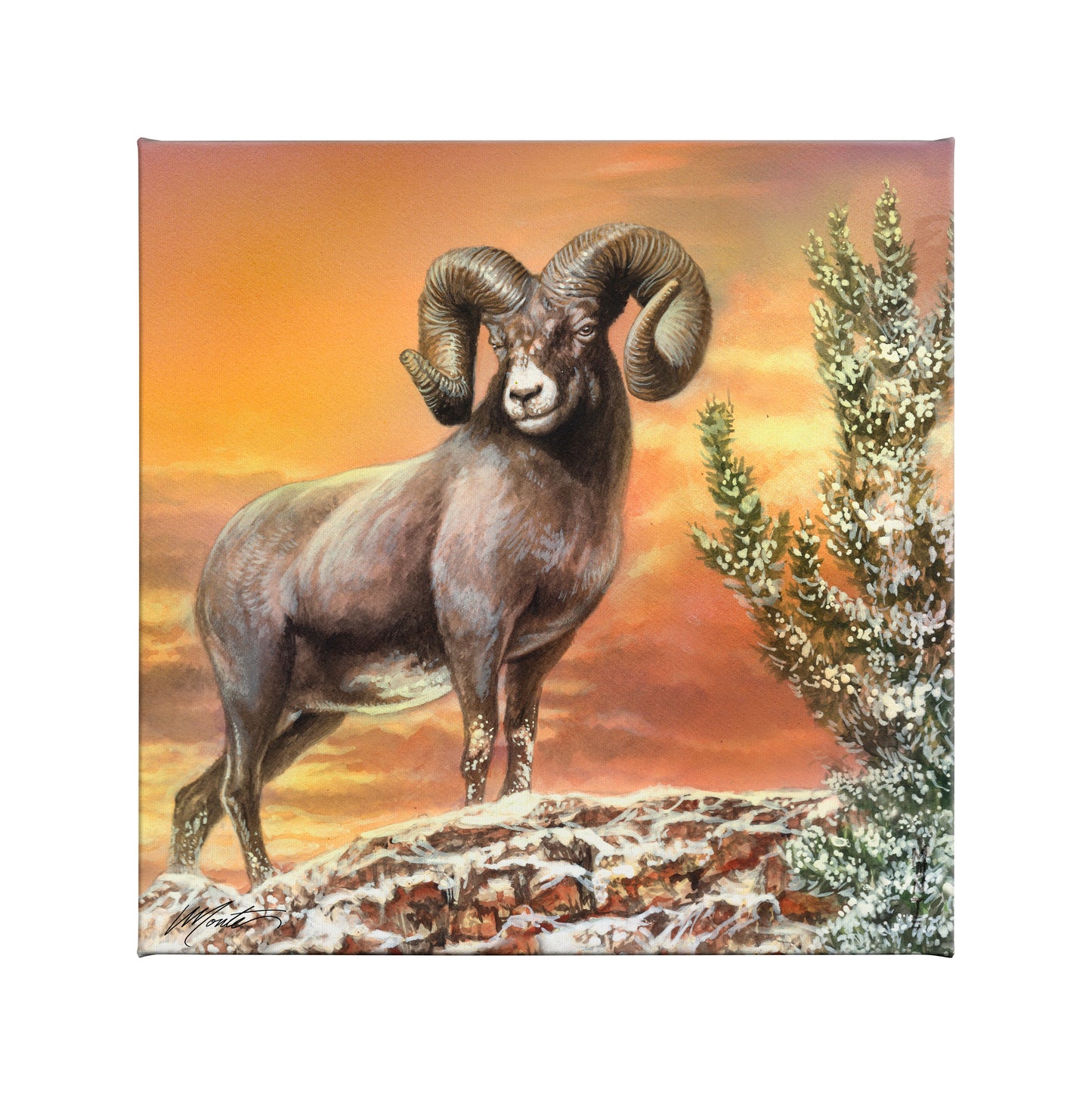 154548_Above the Treetops_14x14_F_CGW.jpg