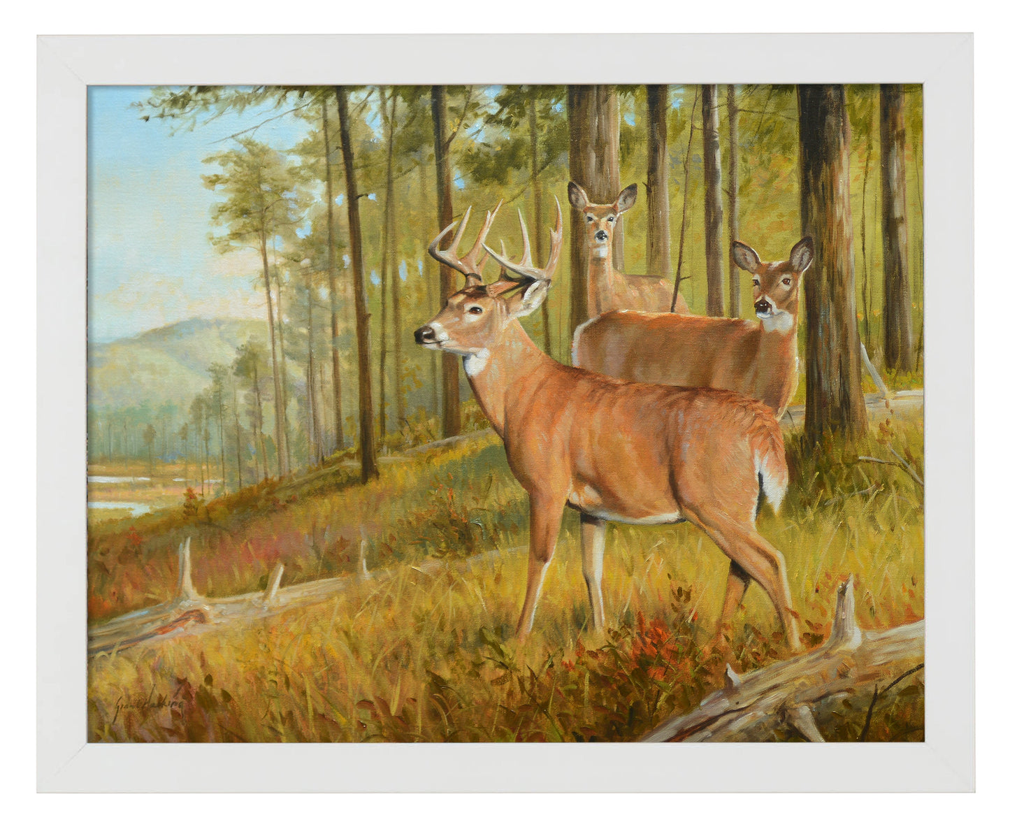 155020_Southern Pines_11x14_FRA White.jpg