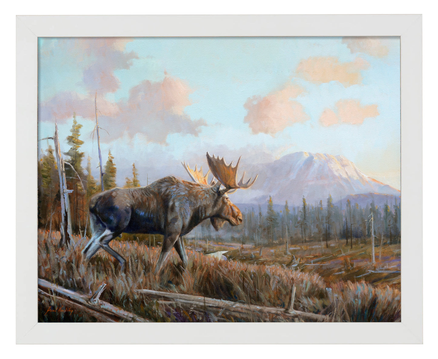 155027_Sunlit Antlers_11x14_FRA White.jpg