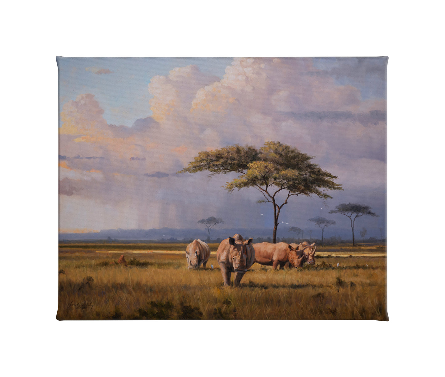 155042_The Plains of Africa_20.5x16_F_CGW (1).jpg