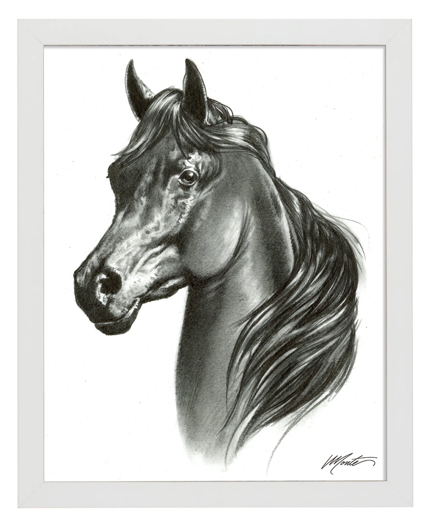 155118_Black Beauty_11x14_FRA_White.jpg