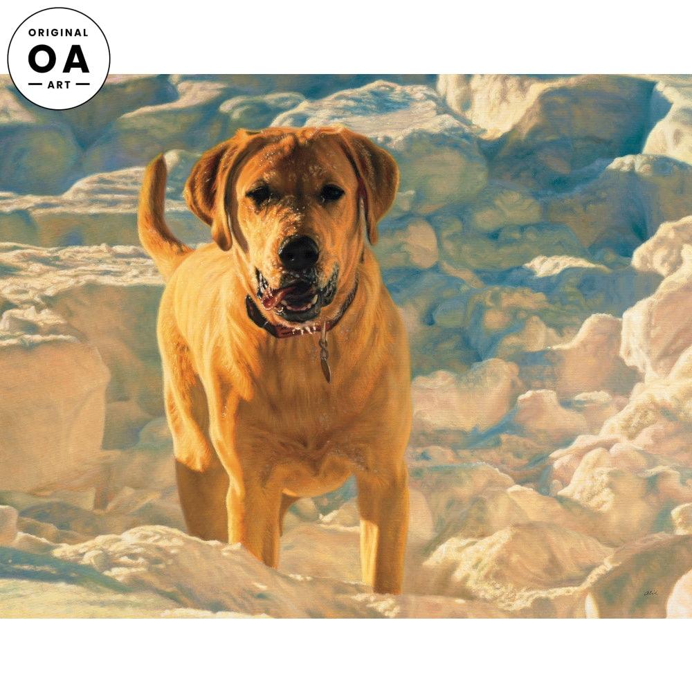 Sun Dog—Yellow Lab Original Oil Painting - Wild Wings