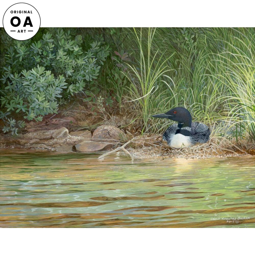 Sunlit—Loon Original Acrylic Painting - Wild Wings