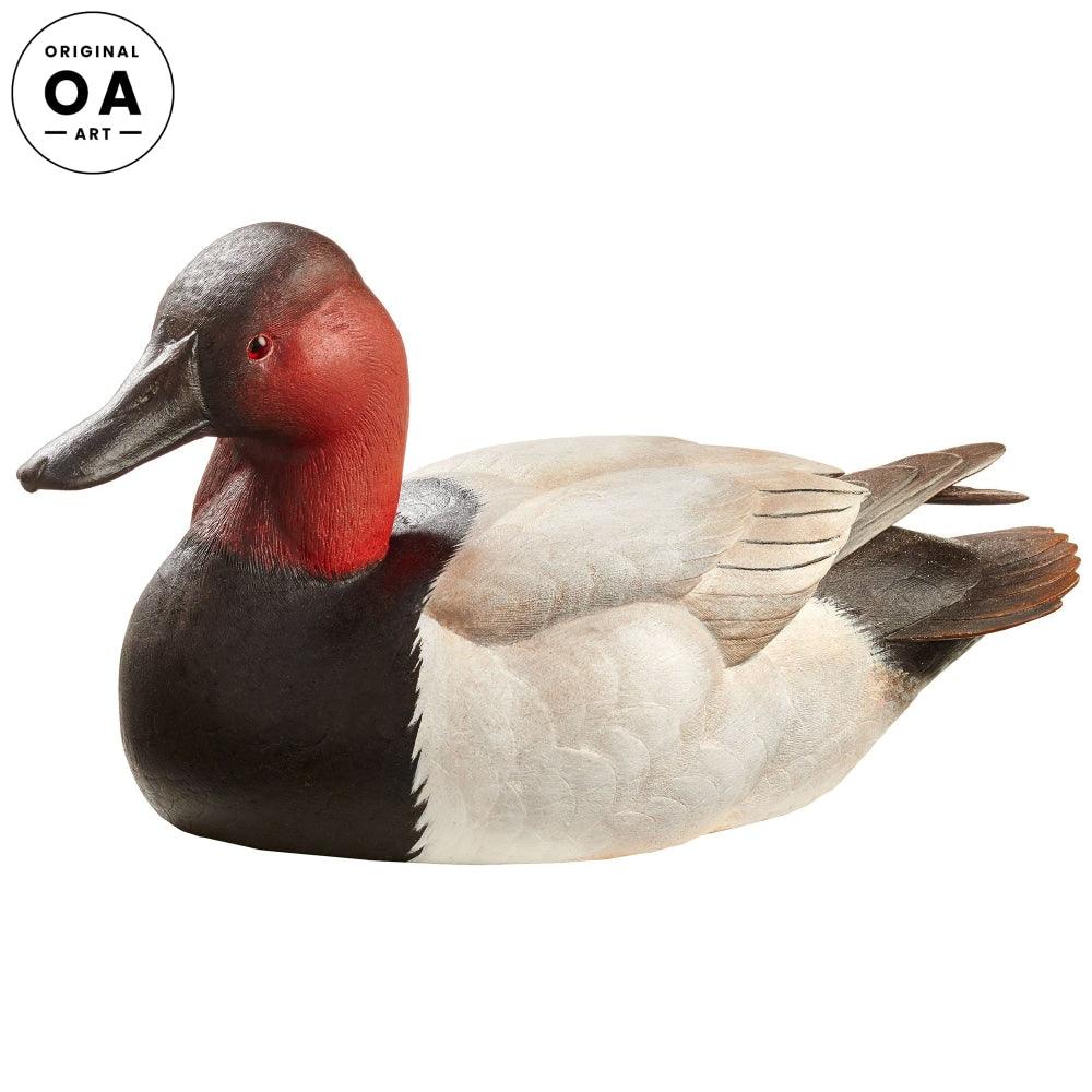 Canvasback Duck Wood Original Wood Carving - Wild Wings