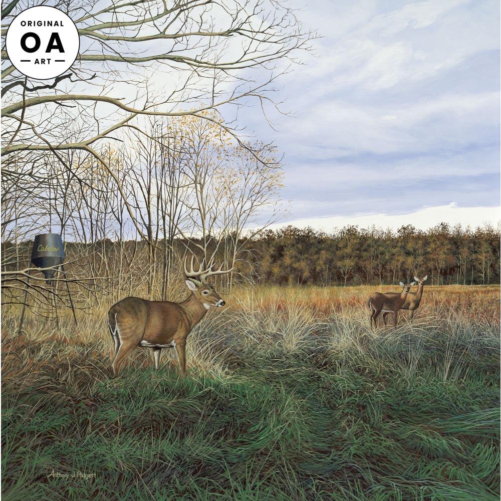 Take Out—Whtetail Deer Original Acrylic Painting - Wild Wings