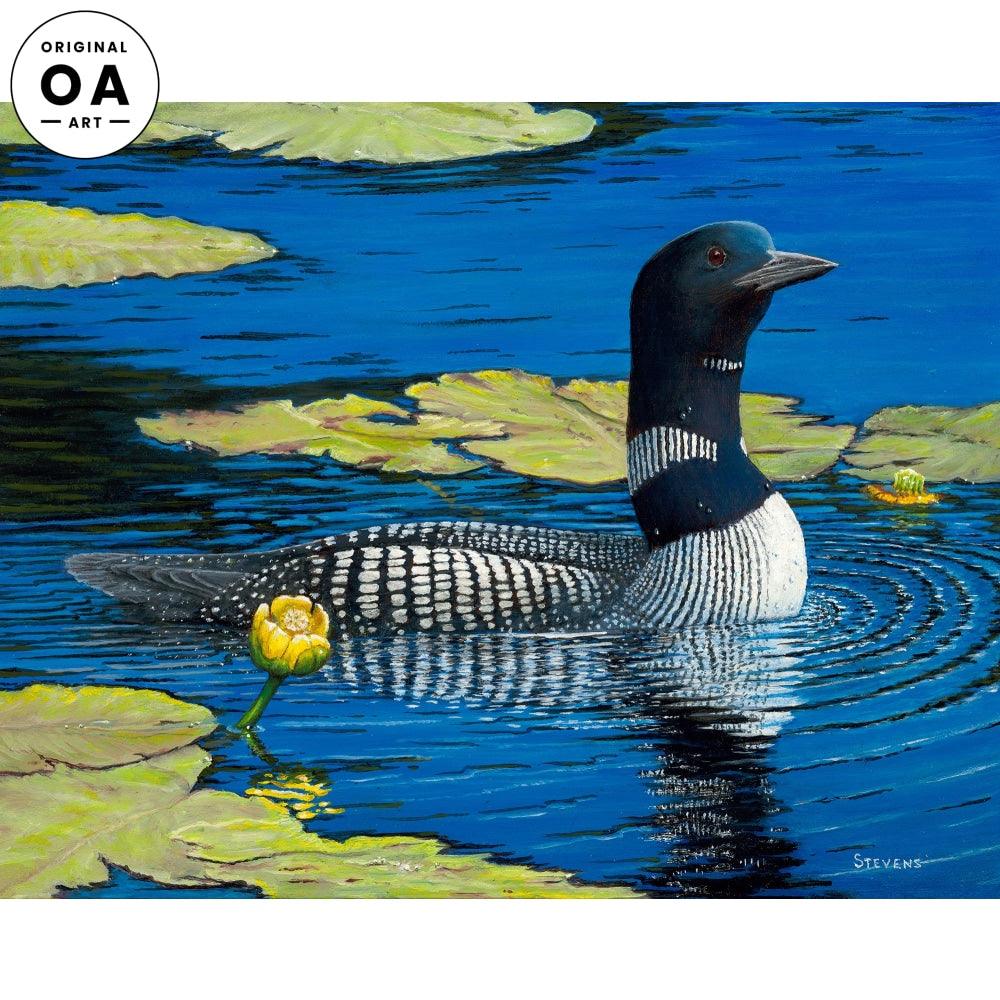 Black and Blue Brilliance—Loon Original Oil Painting - Wild Wings