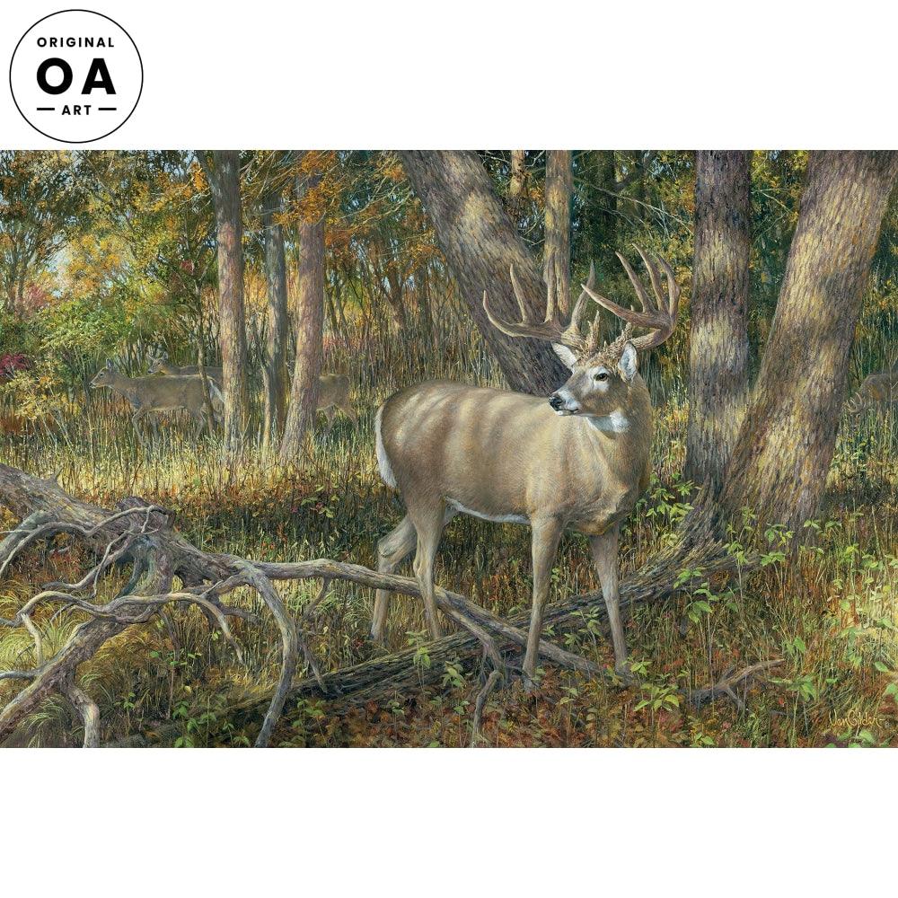 Shadowland—Whitetail Deer Original Oil Painting - Wild Wings