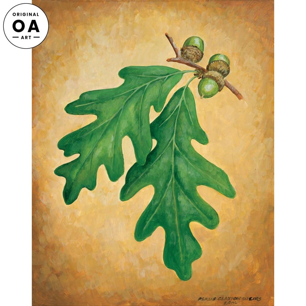 Acorn Study II Original Acrylic Painting - Wild Wings