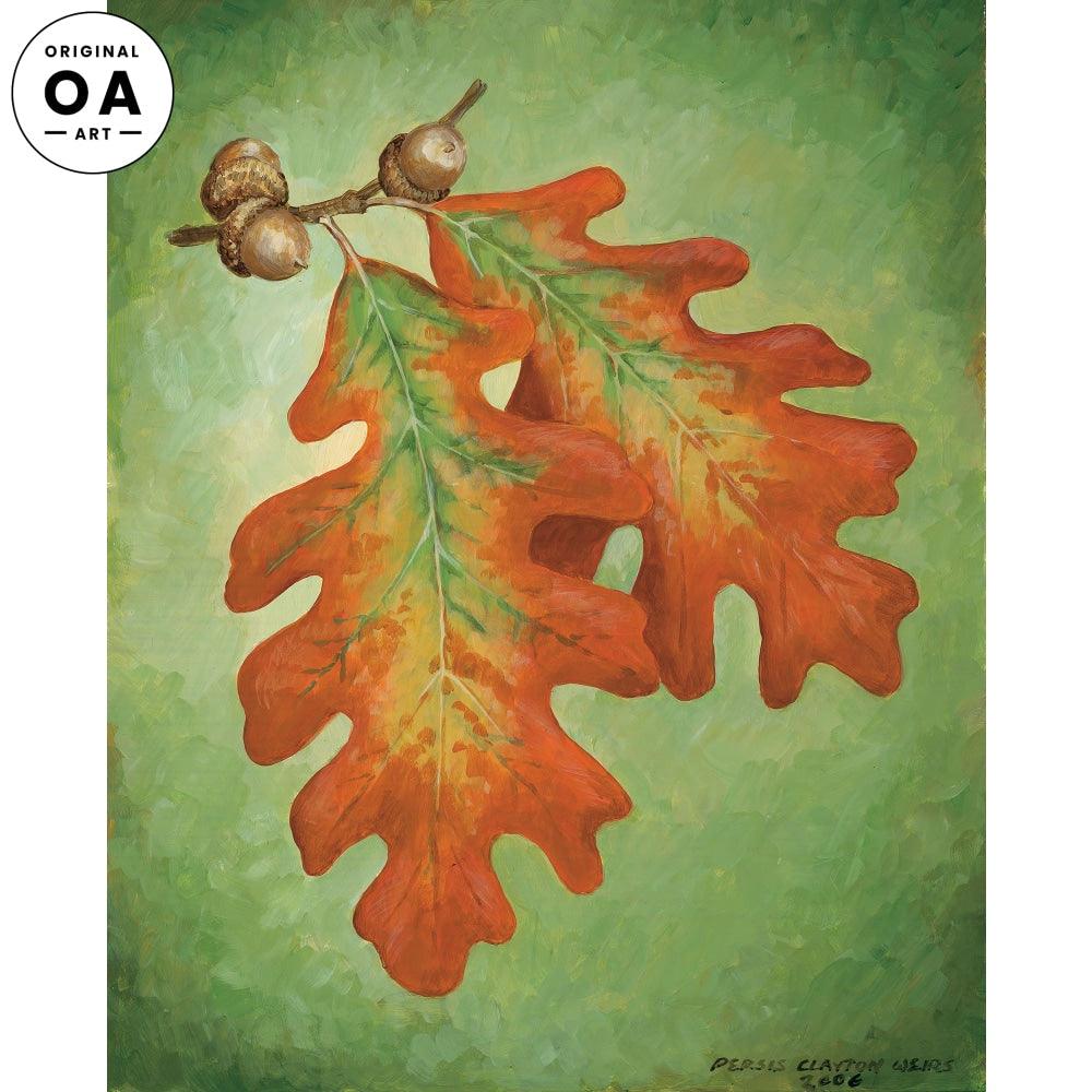 Acorn Study IV Original Acrylic Painting - Wild Wings