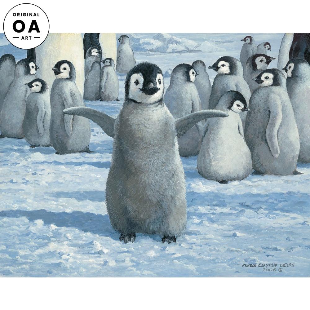 Emperor Chicks - Penguins - 11