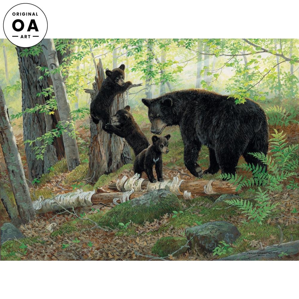 Playtime - Black Bears - 18