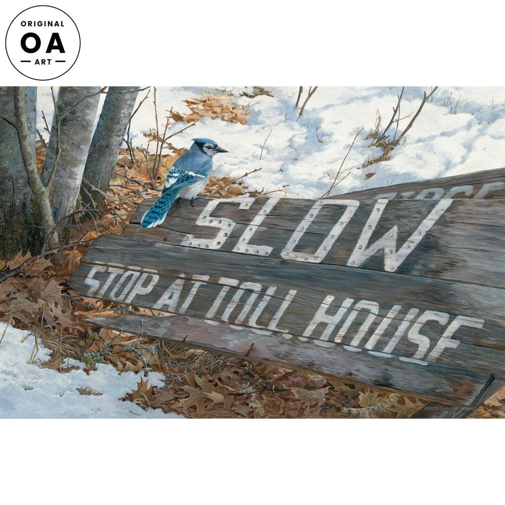 The Tollkeeper—Blue Jay Original Acrylic Painting - Wild Wings